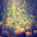 Gut Bugs Control Your Mood? Harvard Says Yes! Green bacteria among intestine lining cells microscopic view
